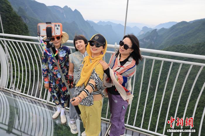 汇聚前沿资讯，洞悉行业动态，尽在旺财28。 - 旺财28